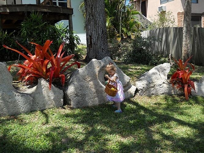 Decorative landscape rock scaping installation with bromeliads