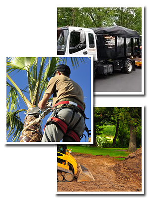 Reel Changes Inc. landscaping crew and property